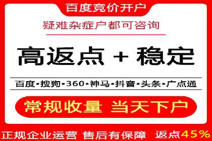 竞价SEM案例分享：行业霸主崛起之路